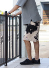 TIE DYE SWEAT SHORT【BLACK/SEA MIST】　日本限定カラー